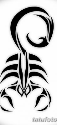 фото тату знак зодиака Скорпион от 21.10.2017 №022 — tattoo sign of the zodiac Scorpio