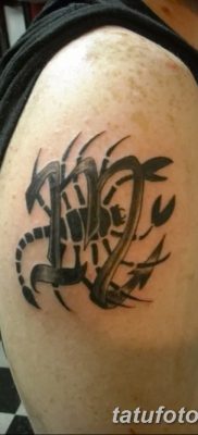 фото тату знак зодиака Скорпион от 21.10.2017 №025 — tattoo sign of the zodiac Scorpio