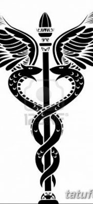 фото тату кадуцей от 21.10.2017 №001 — caduceus tattoo — tatufoto.com