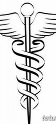 фото тату кадуцей от 21.10.2017 №002 — caduceus tattoo — tatufoto.com