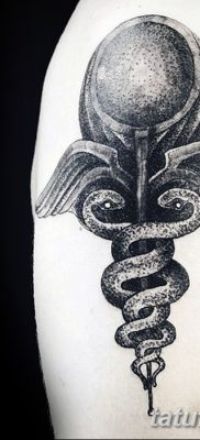 фото тату кадуцей от 21.10.2017 №006 — caduceus tattoo — tatufoto.com