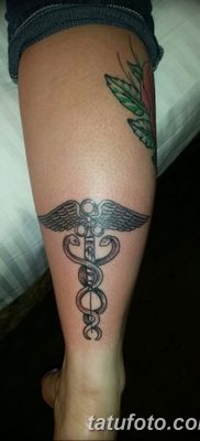фото тату кадуцей от 21.10.2017 №010 — caduceus tattoo — tatufoto.com