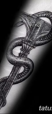 фото тату кадуцей от 21.10.2017 №012 — caduceus tattoo — tatufoto.com