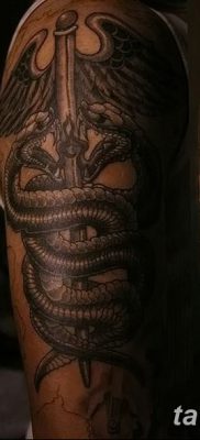 фото тату кадуцей от 21.10.2017 №014 — caduceus tattoo — tatufoto.com