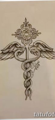 фото тату кадуцей от 21.10.2017 №022 — caduceus tattoo — tatufoto.com