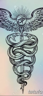 фото тату кадуцей от 21.10.2017 №024 — caduceus tattoo — tatufoto.com