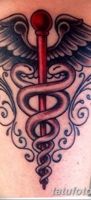 фото тату кадуцей от 21.10.2017 №027 — caduceus tattoo — tatufoto.com