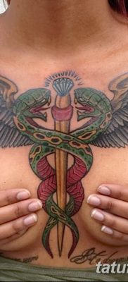 фото тату кадуцей от 21.10.2017 №037 — caduceus tattoo — tatufoto.com