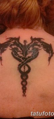 фото тату кадуцей от 21.10.2017 №040 — caduceus tattoo — tatufoto.com