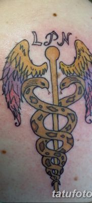 фото тату кадуцей от 21.10.2017 №052 — caduceus tattoo — tatufoto.com