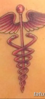 фото тату кадуцей от 21.10.2017 №054 — caduceus tattoo — tatufoto.com