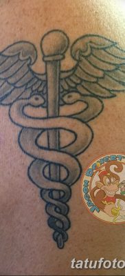 фото тату кадуцей от 21.10.2017 №060 — caduceus tattoo — tatufoto.com