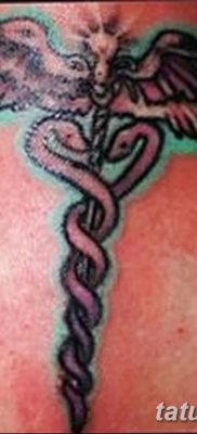 фото тату кадуцей от 21.10.2017 №066 — caduceus tattoo — tatufoto.com