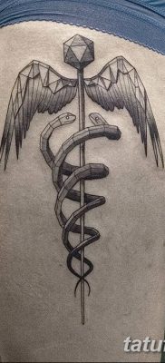 фото тату кадуцей от 21.10.2017 №067 — caduceus tattoo — tatufoto.com