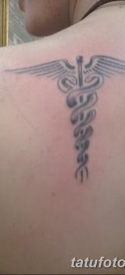 фото тату кадуцей от 21.10.2017 №075 — caduceus tattoo — tatufoto.com