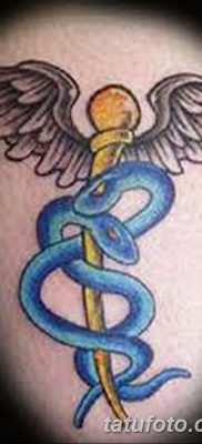 фото тату кадуцей от 21.10.2017 №136 — caduceus tattoo — tatufoto.com