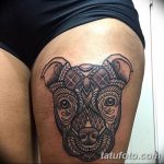 фото тату питбультерьер от 25.10.2017 №002 - tattoo pit bull terrier - tatufoto.com