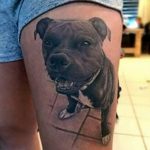 фото тату питбультерьер от 25.10.2017 №003 - tattoo pit bull terrier - tatufoto.com