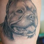 фото тату питбультерьер от 25.10.2017 №009 - tattoo pit bull terrier - tatufoto.com
