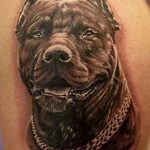 фото тату питбультерьер от 25.10.2017 №012 - tattoo pit bull terrier - tatufoto.com