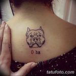 фото тату питбультерьер от 25.10.2017 №014 - tattoo pit bull terrier - tatufoto.com