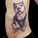 фото тату питбультерьер от 25.10.2017 №018 - tattoo pit bull terrier - tatufoto.com
