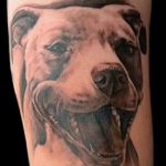 фото тату питбультерьер от 25.10.2017 №020 - tattoo pit bull terrier - tatufoto.com