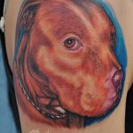 фото тату питбультерьер от 25.10.2017 №022 - tattoo pit bull terrier - tatufoto.com