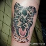 фото тату питбультерьер от 25.10.2017 №023 - tattoo pit bull terrier - tatufoto.com