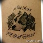 фото тату питбультерьер от 25.10.2017 №024 - tattoo pit bull terrier - tatufoto.com
