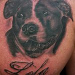 фото тату питбультерьер от 25.10.2017 №029 - tattoo pit bull terrier - tatufoto.com