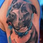 фото тату питбультерьер от 25.10.2017 №033 - tattoo pit bull terrier - tatufoto.com