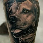 фото тату питбультерьер от 25.10.2017 №036 - tattoo pit bull terrier - tatufoto.com