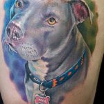 фото тату питбультерьер от 25.10.2017 №038 - tattoo pit bull terrier - tatufoto.com
