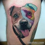 фото тату питбультерьер от 25.10.2017 №039 - tattoo pit bull terrier - tatufoto.com