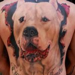 фото тату питбультерьер от 25.10.2017 №041 - tattoo pit bull terrier - tatufoto.com