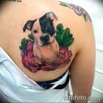 фото тату питбультерьер от 25.10.2017 №044 - tattoo pit bull terrier - tatufoto.com