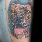 фото тату питбультерьер от 25.10.2017 №046 - tattoo pit bull terrier - tatufoto.com