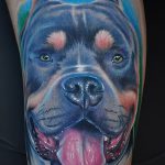 фото тату питбультерьер от 25.10.2017 №047 - tattoo pit bull terrier - tatufoto.com