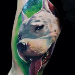 фото тату питбультерьер от 25.10.2017 №049 - tattoo pit bull terrier - tatufoto.com