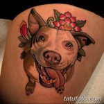 фото тату питбультерьер от 25.10.2017 №050 - tattoo pit bull terrier - tatufoto.com