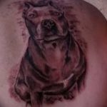 фото тату питбультерьер от 25.10.2017 №051 - tattoo pit bull terrier - tatufoto.com