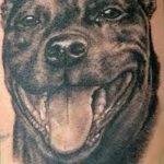 фото тату питбультерьер от 25.10.2017 №052 - tattoo pit bull terrier - tatufoto.com