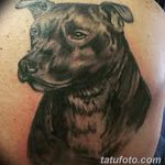 фото тату питбультерьер от 25.10.2017 №057 - tattoo pit bull terrier - tatufoto.com