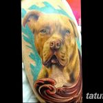 фото тату питбультерьер от 25.10.2017 №064 - tattoo pit bull terrier - tatufoto.com