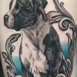 фото тату питбультерьер от 25.10.2017 №067 - tattoo pit bull terrier - tatufoto.com