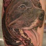 фото тату питбультерьер от 25.10.2017 №069 - tattoo pit bull terrier - tatufoto.com