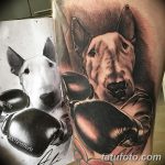 фото тату питбультерьер от 25.10.2017 №070 - tattoo pit bull terrier - tatufoto.com