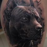 фото тату питбультерьер от 25.10.2017 №072 - tattoo pit bull terrier - tatufoto.com