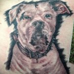 фото тату питбультерьер от 25.10.2017 №073 - tattoo pit bull terrier - tatufoto.com